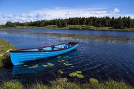 Fotoroleta morze łódź trawa