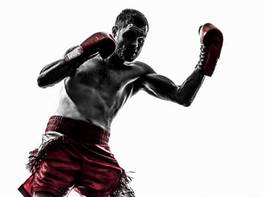 Naklejka sztuki walki bokser sport boks