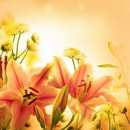 Naklejka kompozycja kwiat obraz roślina bukiet