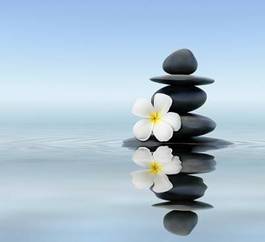Naklejka kamienie zen z białym kwiatem nad wodą