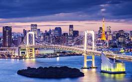 Fotoroleta wieża krajobraz tokio