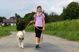 Fotoroleta spacer z psem na uroczej wsi
