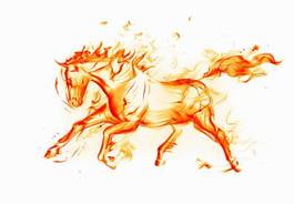 Obraz na płótnie piękny ogier jazda konna koń obraz