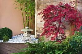 Plakat jesień japoński zen