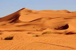 Plakat egipt krajobraz safari arabski wydma