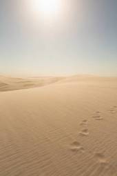 Obraz na płótnie Ślady na piasku
