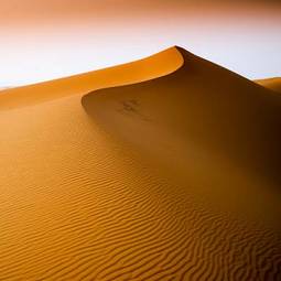 Obraz na płótnie pustynia lato wzór
