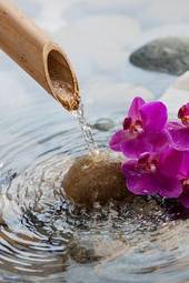 Obraz na płótnie wellnes aromaterapia storczyk woda