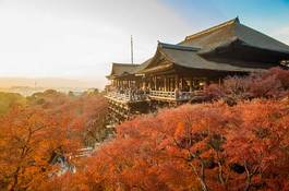 Fotoroleta japonia architektura świątynia wiśnia natura