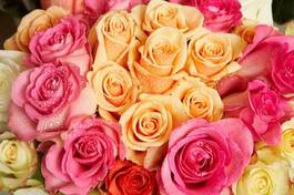 Naklejka piękny bukiet rosa ogród