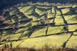Naklejka wiejski rolnictwo francja natura krajobraz