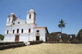 Fotoroleta palma tropikalny kościół brazylia