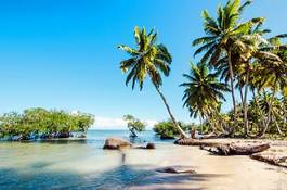 Obraz na płótnie krajobraz dominikana plaża wyspa słońce