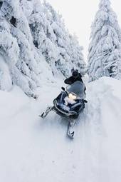 Fotoroleta jazda konna śnieg drzewa mężczyzna ruch