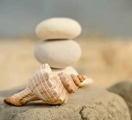Fotoroleta kamienie i muszla na plaży