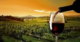 Obraz na płótnie rolnictwo napój wino