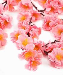 Fototapeta różowe delikatne kwiatki
