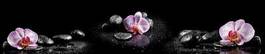 Naklejka storczyk kwiat panorama