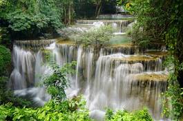 Fotoroleta natura woda tajlandia roślina drzewa
