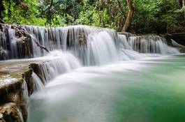 Obraz na płótnie woda wodospad roślina las natura