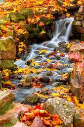 Plakat wodospad park woda jesień