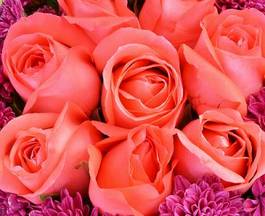 Obraz na płótnie kwiat piękny ładny miłość bukiet