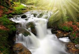 Fototapeta wodospad słońce strumyk dziki potok