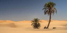 Obraz na płótnie pejzaż afryka pustynia wydma