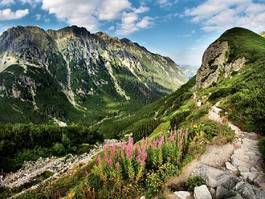 Fototapeta dolina natura tatry spokojny
