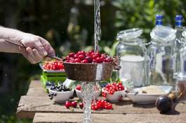 Obraz na płótnie napój ogród woda lato owoc