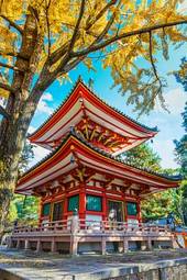 Fotoroleta wieża japoński antyczny świątynia