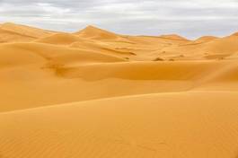 Plakat krajobraz wydma pustynia