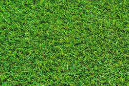 Obraz na płótnie natura wzór łąka pole pejzaż