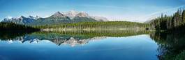 Naklejka kanada drzewa panorama góra