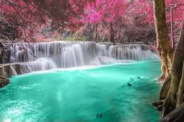Plakat natura wodospad drzewa tajlandia las