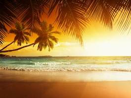 Naklejka lato indyjski wybrzeże plaża