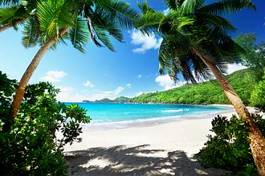 Obraz na płótnie klif plaża lato wyspa krzew