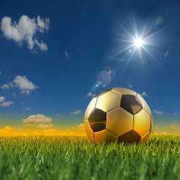 Obraz na płótnie piłka słońce piłka nożna trawa