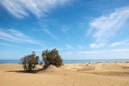 Naklejka krajobraz wydma afryka