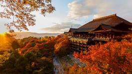Naklejka jesień świt japoński zmierzch