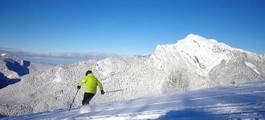 Fotoroleta lekkoatletka śnieg francja narciarz