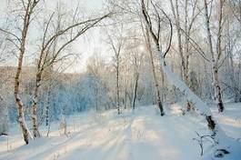 Fotoroleta śnieg słońce pejzaż