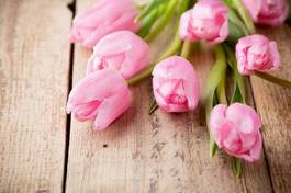 Naklejka natura kompozycja kwiat tulipan piękny