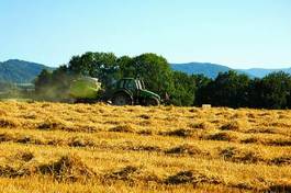 Fototapeta roślina rolnictwo jęczmień traktor jedzenie