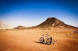 Naklejka rower pustynia park piękny