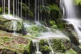 Plakat wodospad pejzaż las mech natura