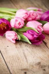 Obraz na płótnie roślina tulipan kompozycja piękny kwiat