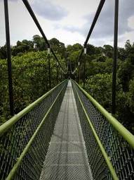 Obraz na płótnie most las singapur