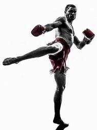 Naklejka kick-boxing sport bokser ćwiczenie sztuki walki