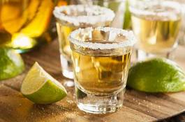 Naklejka cytrus tropikalny meksyk napój